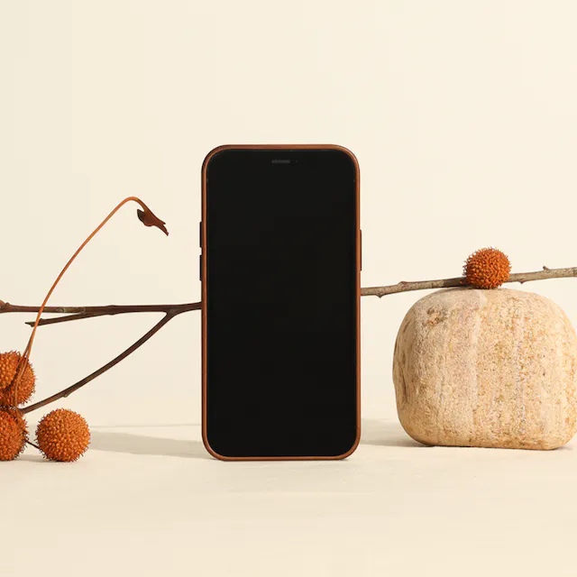 Front iphone 12 mini mockup scene